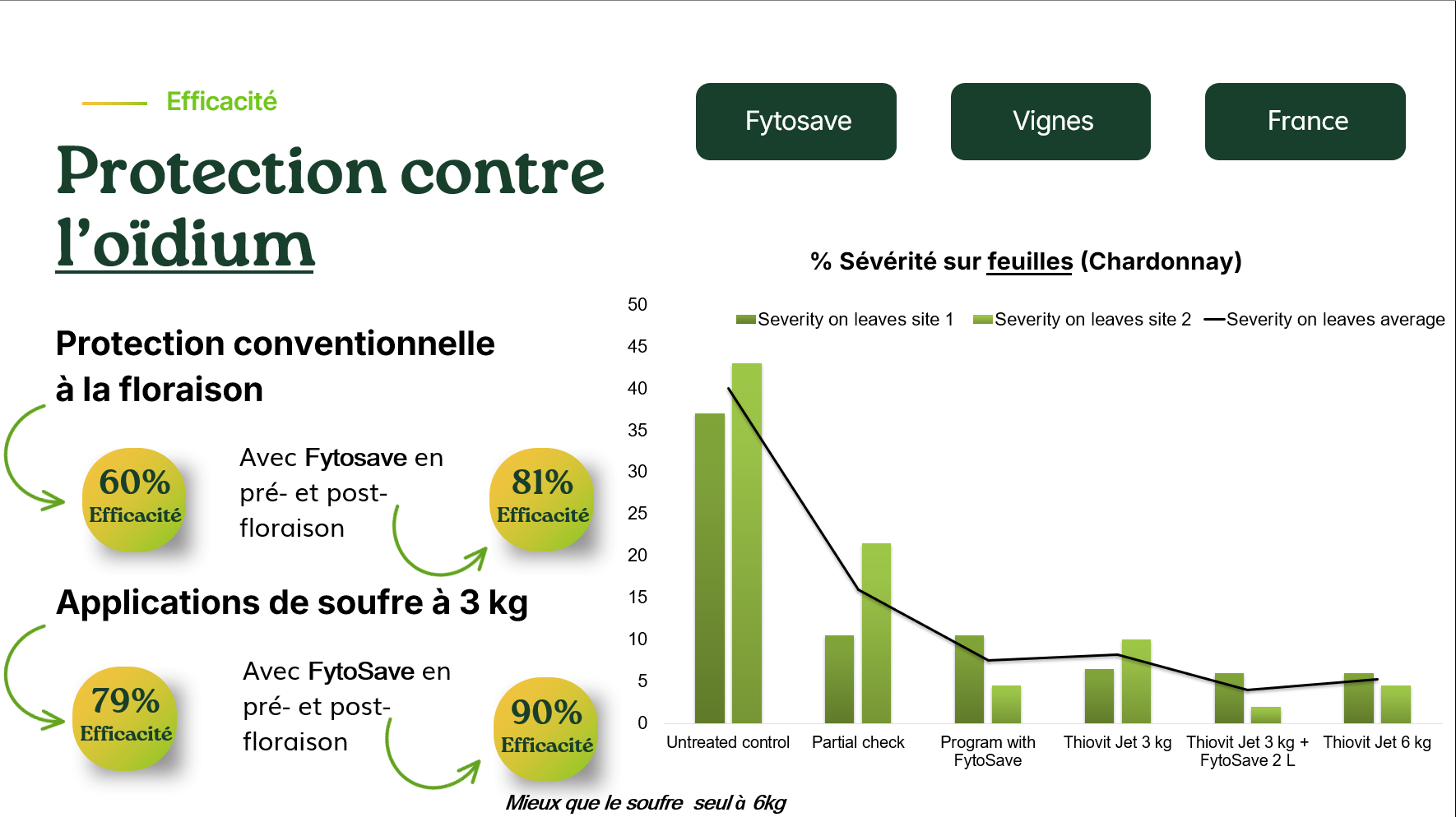 Protection contre l'oïdium obtenue grâce à Fytosave