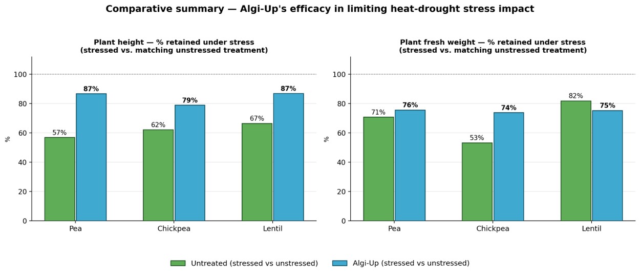 Comparative chart of plant height under heat-drought stress, pea, chickpea, lentil; Algi-Up biostimulant